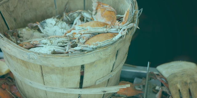 “Yengeç Sepeti Sendromu” (İngilizce: Crab Mentality), adını doğrudan doğadan alan, güçlü bir metaforla tanımlanan bir kavramdır. Hikâye, Filipinler, Jamaika ve diğer tropikal bölgelerde balıkçıların gözlemlerine dayanır: Yengeç Sepeti Sendromunda Çözüm Yolları