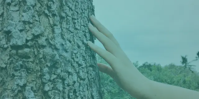 Bilinçli İlişki Kurmak İçin Deneyebileceğin 6 Farkındalık Egzersizi